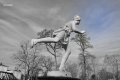 michel_r dsc_0085 